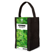 kit de culture herbes aromatiques - aneth
